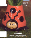 Ladybug Pot or Lite